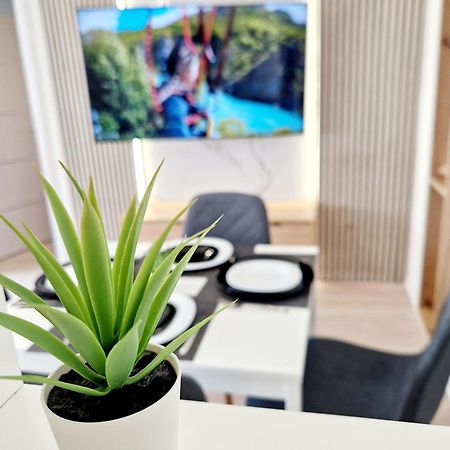 Cosy Novi Sad Loft, Self Check-In Leilighet Eksteriør bilde